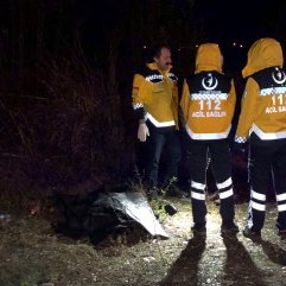 Çarptığı köpeği kontrol etmek isteyen adam öldü