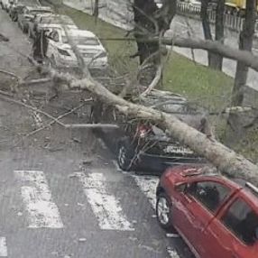 İstanbul'da fırtına: Ağaç yayaların üzerine devrildi