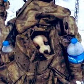 Mehmetçik, karlı arazide bulduğu yavru köpeği yanına aldı