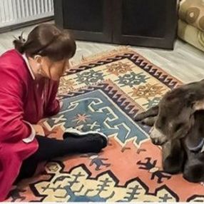Sezen Aksu sıpasıyla poz verdi