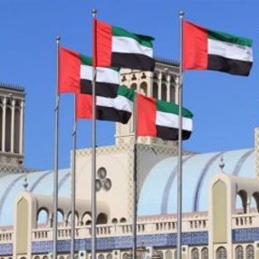 BAE Türkiye'nin Libya tezkeresini kınadı