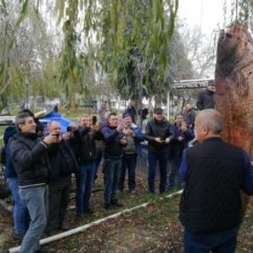 Bursa'da dev yayın balığı ilgi gördü