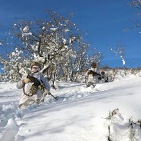 Jandarma'nın operasyonları devam ediyor