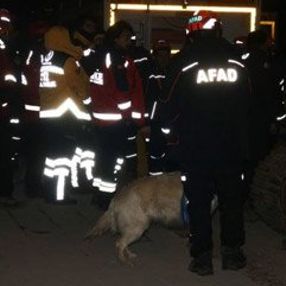 Elazığ'da enkazlar, hassas burunlu köpeklerle aranıyor