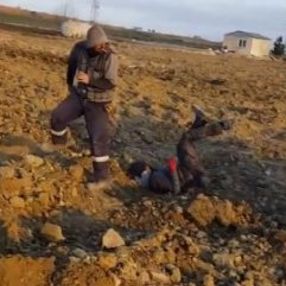 Şaha kalkan traktör 2 kişiyi üzerinden fırlattı