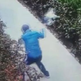 Kediyi yerden yere vuran kişi serbest kaldı