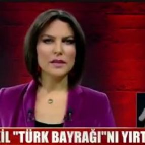 Ece Üner'den bayrak yırtan Yunan vekile tepki