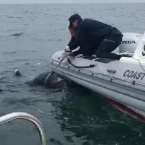 Mersin'de balıkçıların ağına 2 ceset takıldı