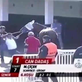 Hipodromda ata şiddet uygulayan şahsa ceza verildi