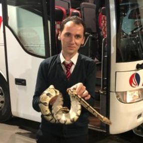 Yolcu otobüsünde valizden kaçan piton paniğe neden oldu