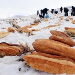 Felaketlerin son bulması için türbe yoluna ekmek götürdü