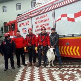 Dağda kalan keçiyi kurtarma operasyonu
