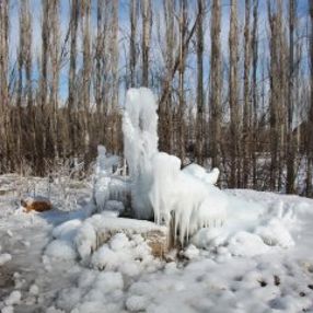 Erzurum'da dereler buz bağladı