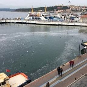 Çanakkale Boğazı’nda ortaya çıkan gizemli tabaka