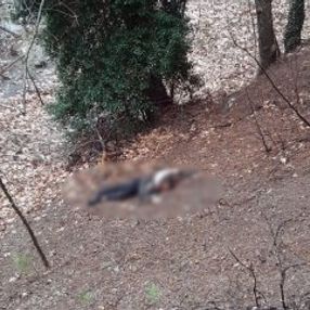 Adana'da kumalığı kabul etmeyen kadın öldürüldü