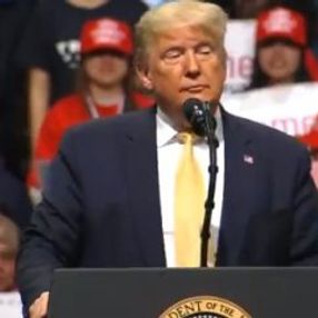 Trump'tan Brad Pitt ve Parazit filmine tepki