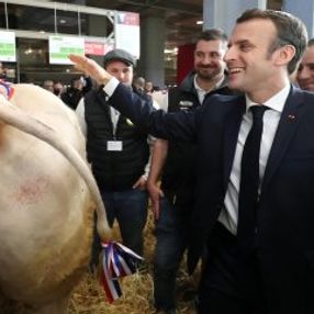Macron, hayvanların kalitesini kontrol etti