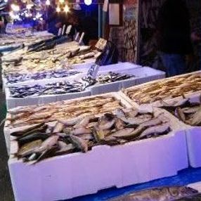 Balıkçılar, tombik balığını palamut diye satıyor