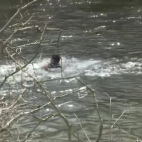 Mülteciler Meriç Nehri'ni yüzerek geçti