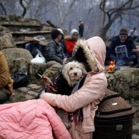Köpeğiyle Avrupa'ya geçmeye çalışan göçmen