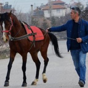 Kaynak kuyruk yapılan at