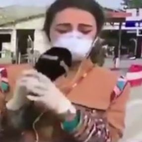 Lübnan'da haber sunan bir muhabir canlı yayında bayıldı