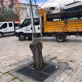 Yaşlılar koronavirüse aldırış etmeyince banklar söküldü