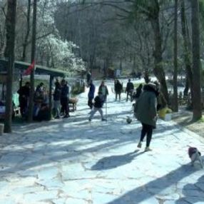 Koronavirüs uyarılarına rağmen Belgrad Ormanı doldu