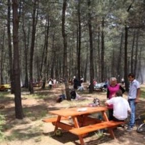 Tarım ve Orman Bakanlığı'ndan mangal yasağı