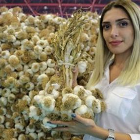 Sarımsak fiyatını ikiye katladı