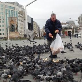 Taksim Meydanı'nda aç kalan kuşları besledi