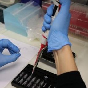 Çinli üreticiler hatalı testler için alıcıyı suçladı