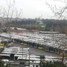 İBB'nin toplu taşıma araçları boşta bekliyor