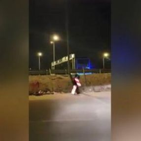 Yunanistan'da levha kılığına girerek sokağa çıktı