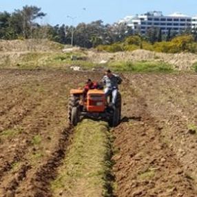 Antalya'da yaşlı adamın tarlasını jandarma sürdü