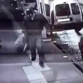 Köpeğini, yeni doğum yapan kedi ve yavrularına saldırttı