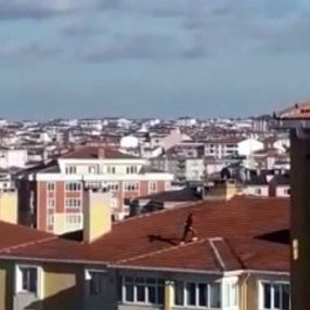 Binanın çatısına çıkan çocuğun tehlikeli anları