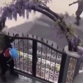 Babanın çocuklarına polis geliyor şakası