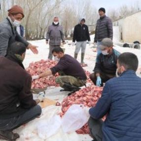 Koronadan kurtulmak için 73 hayvan kestiler