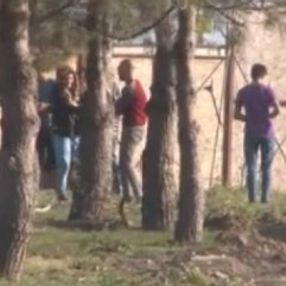 Yasağa aldırış etmeyen gençler güreş tutup, top oynadı