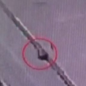 Sarhoş sürücü çarptığı kişiyi köprüden aşağı uçurdu