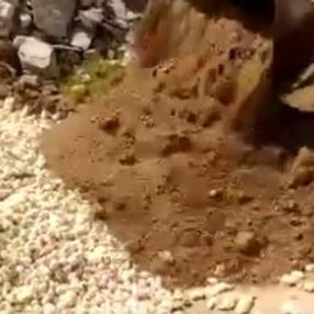 İran'da binlerce civciv canlı canlı gömüldü