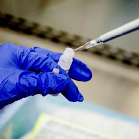 Almanya, korona aşısını insanlarda test edecek