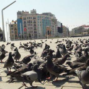 Taksim Meydanı, İşçi Bayramı'nda boş kaldı
