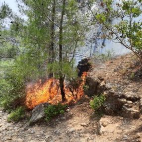 Antalya'daki ormanda yangın çıktı, 10 dönüm alan zarar gördü