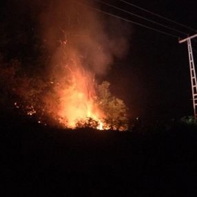 Rize’de orman yangınına müdahale edilemiyor