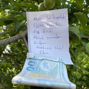Hamile eşi için topladığı eriğin parasını ağaca astı
