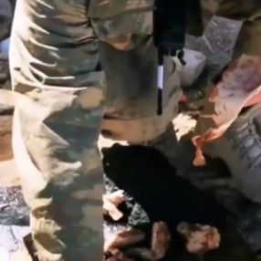 Hakkari'de Mehmetçik'in mangal ziyafeti