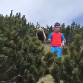 İtalya'da sakin kalan baba ve oğlu boz ayıdan kurtuldu