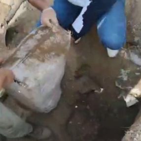 Van'da toprağa gömülü 248 kilo eroin bulundu